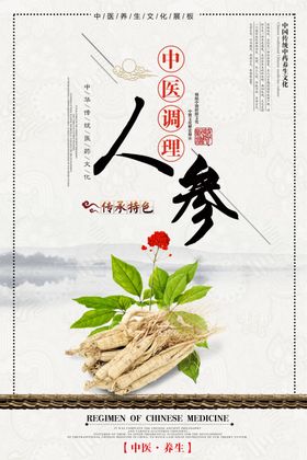 人参中药材中医中药中医药