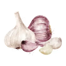 手绘彩色蔬菜免扣素材图片
