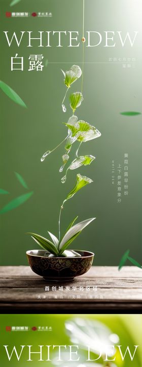 白露节气露珠系列海报