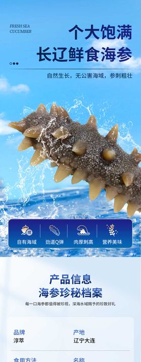 水产海参电商详情