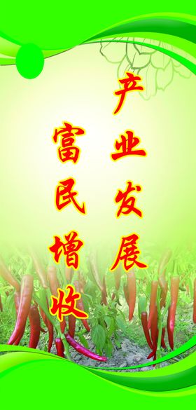 玉米产业发展情况