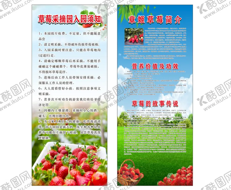 编号：72981702260043501935【酷图网】源文件下载-草莓简介章姬草莓