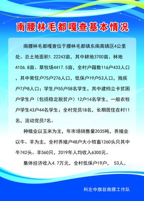 驻村嘎查基本情况