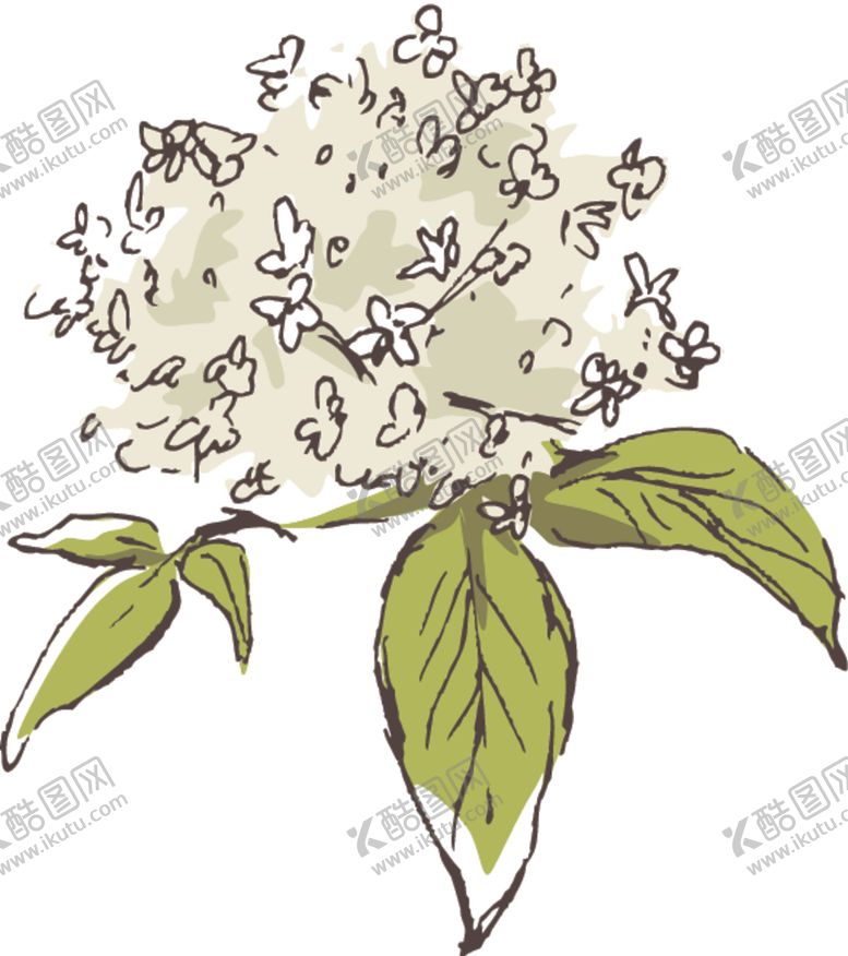 编号：89111606240616439366【酷图网】源文件下载-素描鲜花