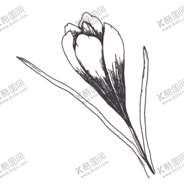 编号：79073809130308112839【酷图网】源文件下载-简笔绘画植物花朵图谱