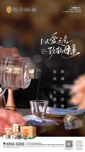 母亲节白酒海报