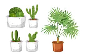 盆栽绿色植物插图花卉花草