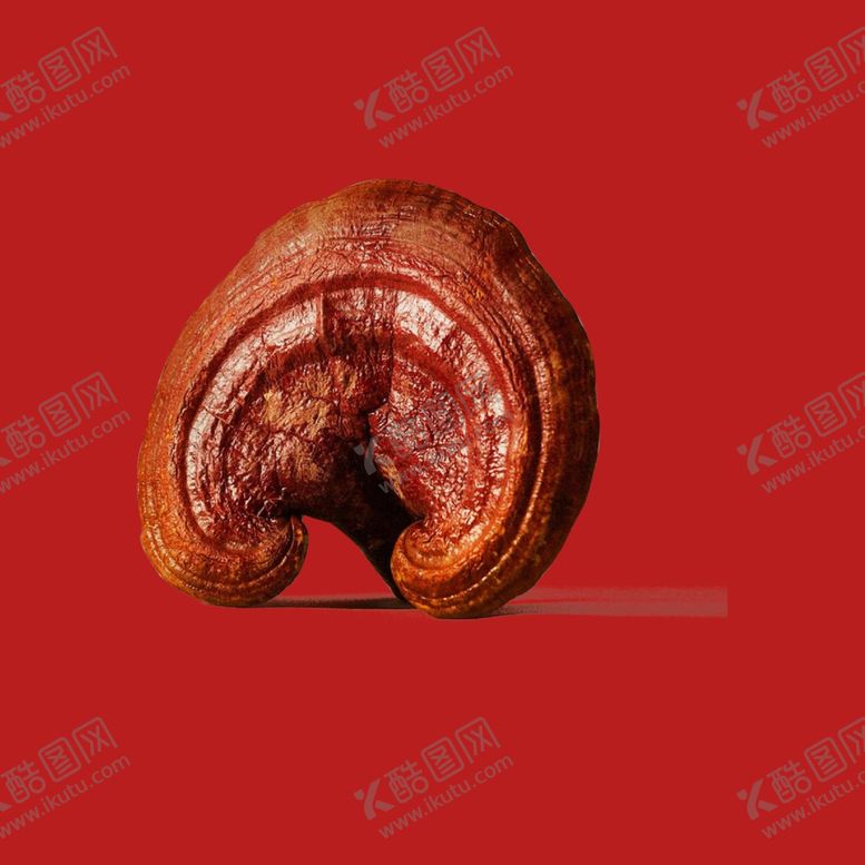 编号：87591202281927472979【酷图网】源文件下载-灵芝