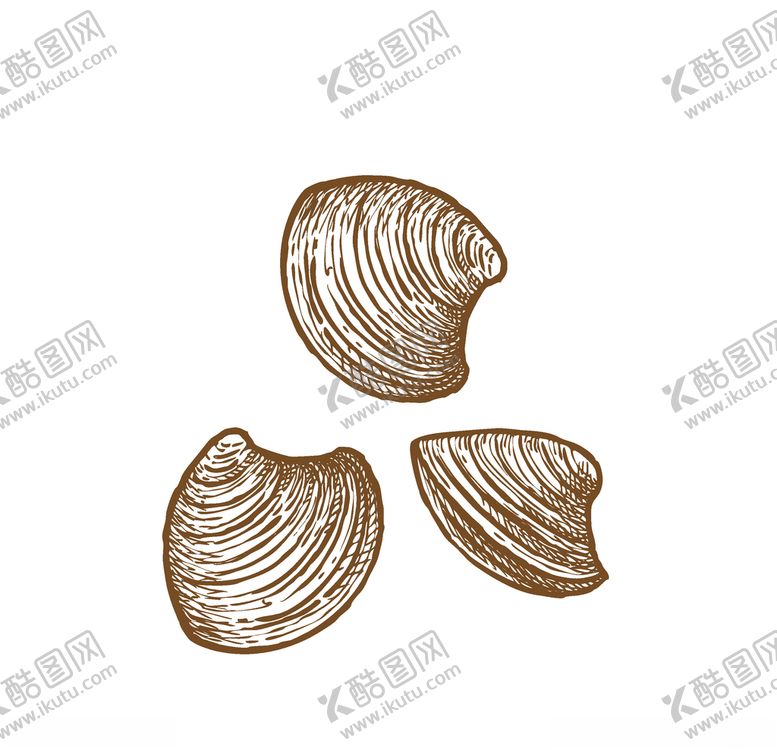 编号：94756509090053008920【酷图网】源文件下载-贝壳