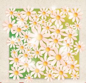 矢量动物矢量植物插画手绘