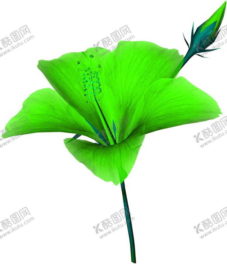 编号：92192707121929464318【酷图网】源文件下载-花素材