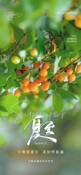 夏至节气海报天树叶小清新