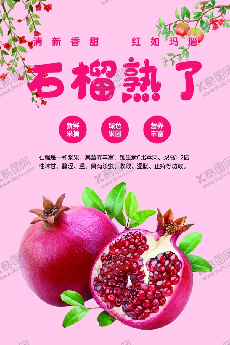 编号：93749002090141461582【酷图网】源文件下载-石榴海报