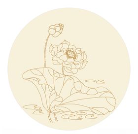荷花