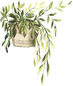 植物盆栽手绘