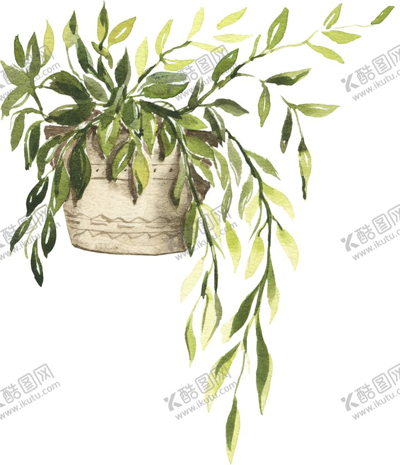 编号：70992410081028051642【酷图网】源文件下载-手绘盆栽植物