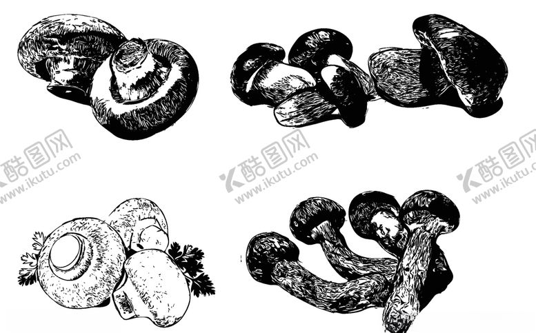 编号：78099610070635598312【酷图网】源文件下载-素描菌菇