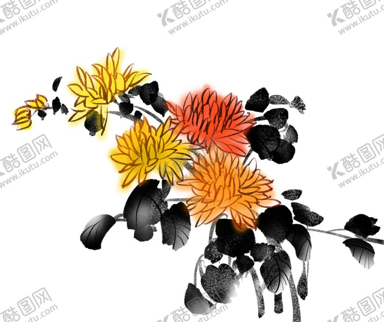 编号：64061009301701574966【酷图网】源文件下载-菊花素材