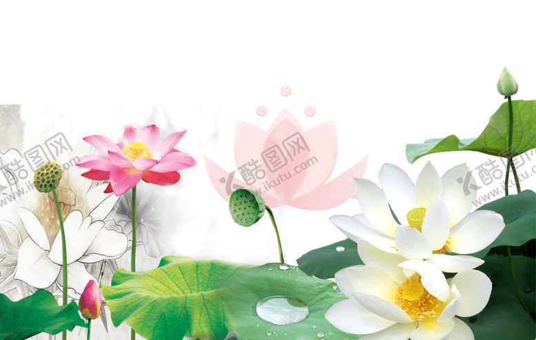 编号：30490710010310136437【酷图网】源文件下载-中国风荷叶荷花绘画