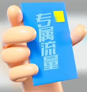 专属流量