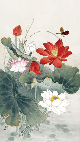 荷花相映