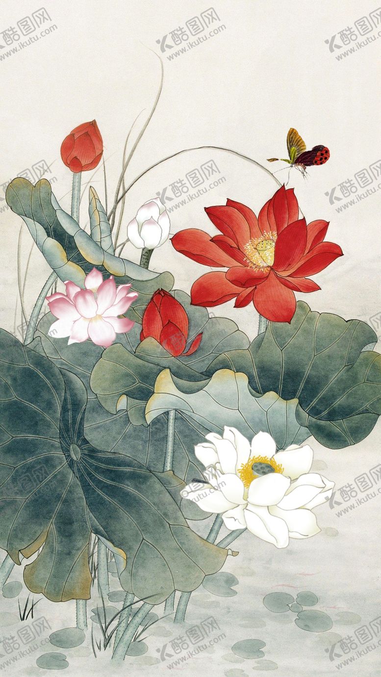 编号：66506609270418468827【酷图网】源文件下载-荷花相映