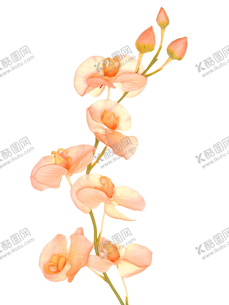 编号：77050811010723471210【酷图网】源文件下载-鲜花装饰