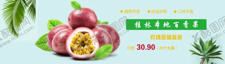 编号：30499906290352228925【酷图网】源文件下载-百香果