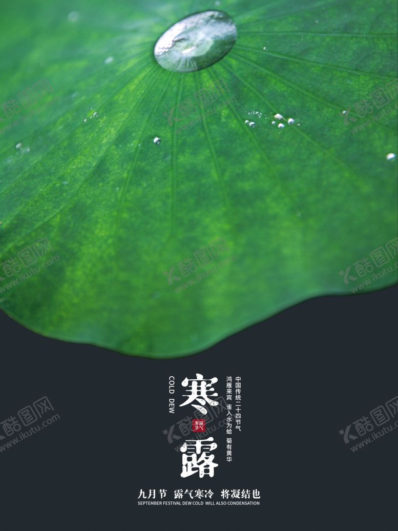 编号：45852404141232301226【酷图网】源文件下载-简约风寒露宣传海报