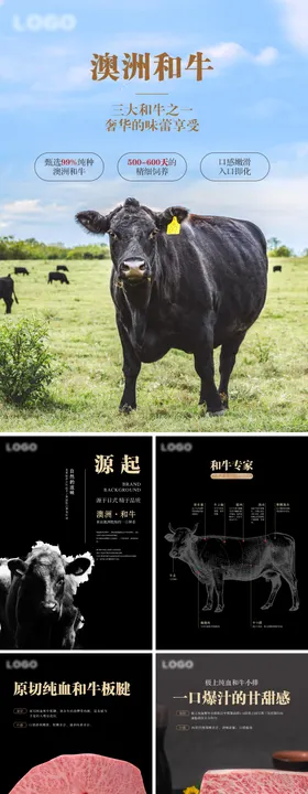 澳洲和牛宣传海报