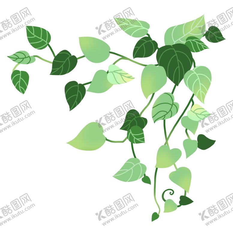 编号：32436302120314545120【酷图网】源文件下载-春天绿色藤曼插画