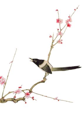 装饰水墨梅花鸟