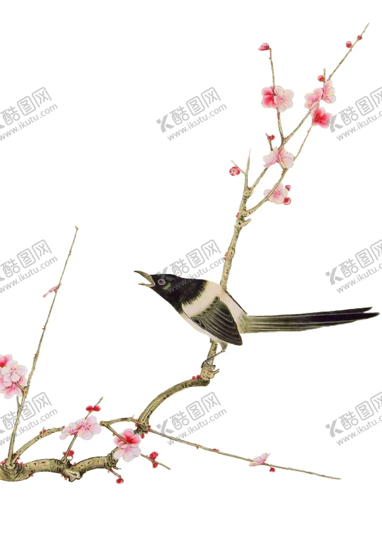 编号：26522506250727092340【酷图网】源文件下载-梅花鸟素材
