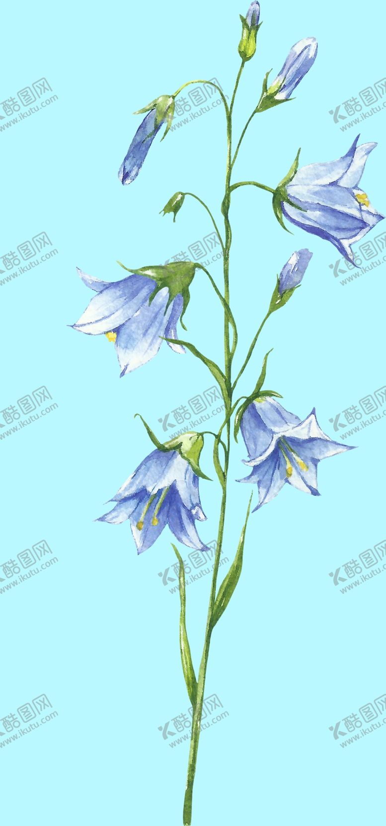 编号：36502109281511573587【酷图网】源文件下载-花卉树叶