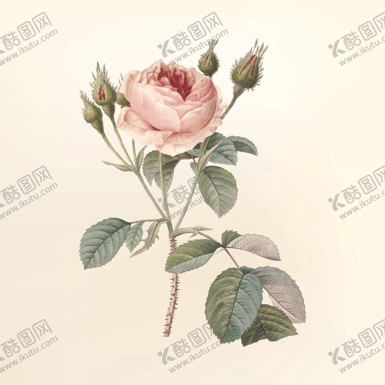 编号：81692207141234084417【酷图网】源文件下载-花纹
