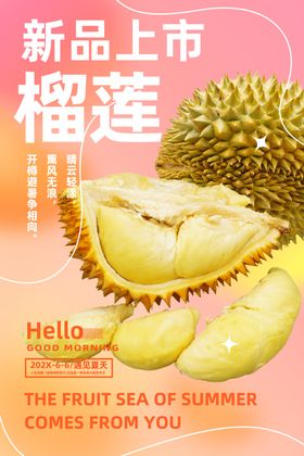 榴莲水果介绍展板海报