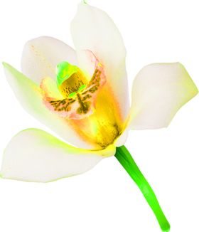 花素材小清新朵鲜朵朵底纹