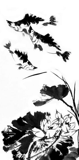 水莲花