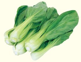 蔬菜
