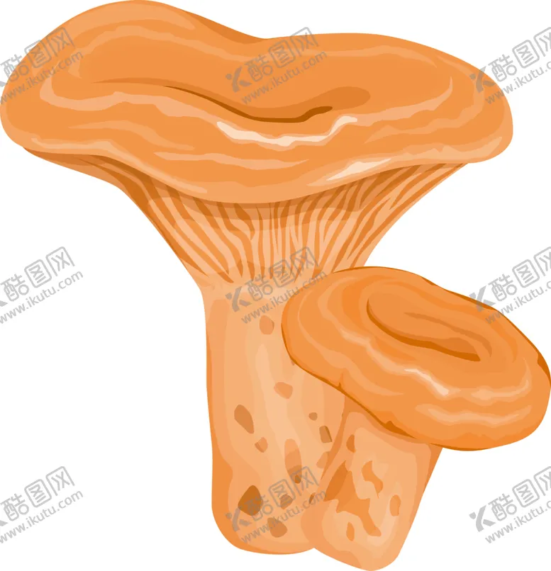 编号：68159602081950192089【酷图网】源文件下载-蘑菇