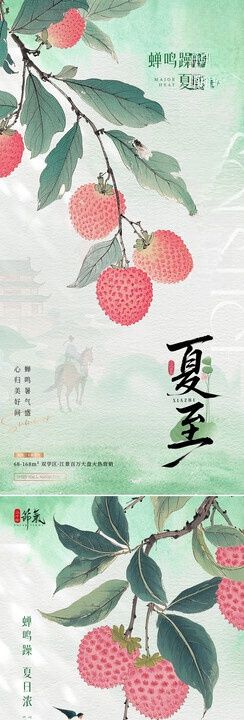 夏至小暑荷花中式插画海报