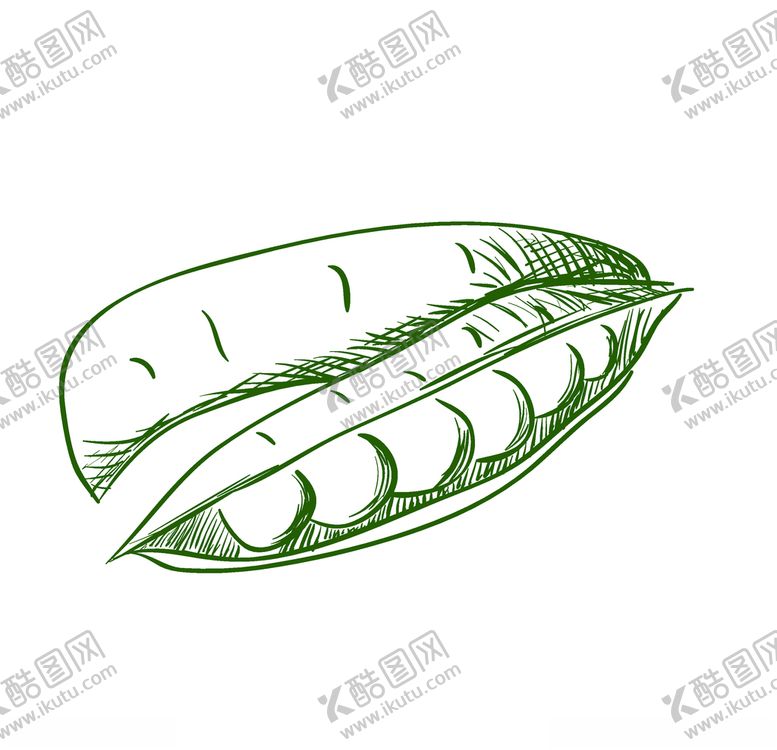 编号：77845907080432006124【酷图网】源文件下载-蔬菜