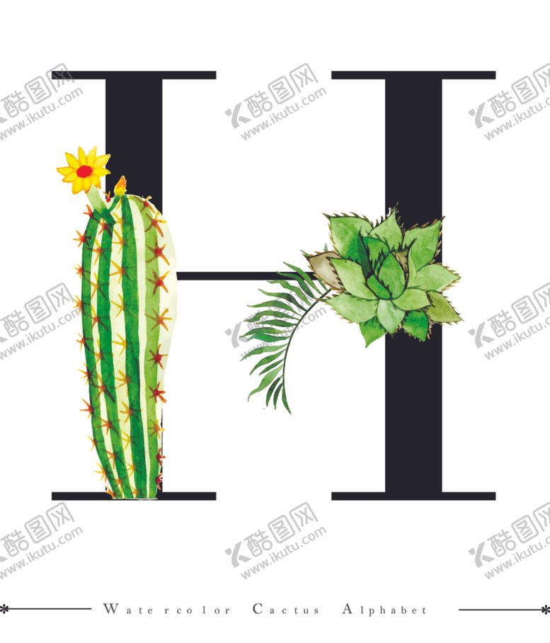 编号：43175210111913503272【酷图网】源文件下载-字母与水彩仙人掌组合字体