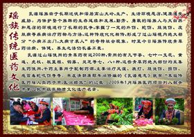 瑶族传统医药文化