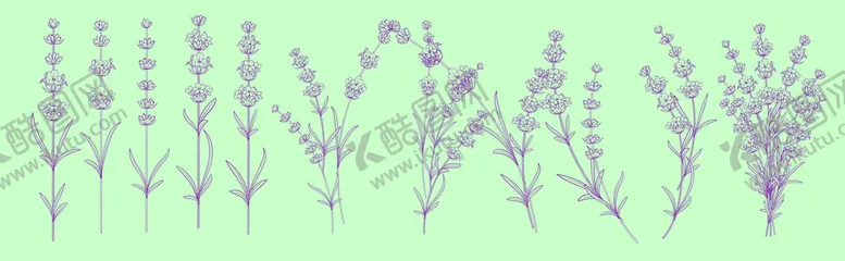 编号：42906110061400109507【酷图网】源文件下载-薰衣草