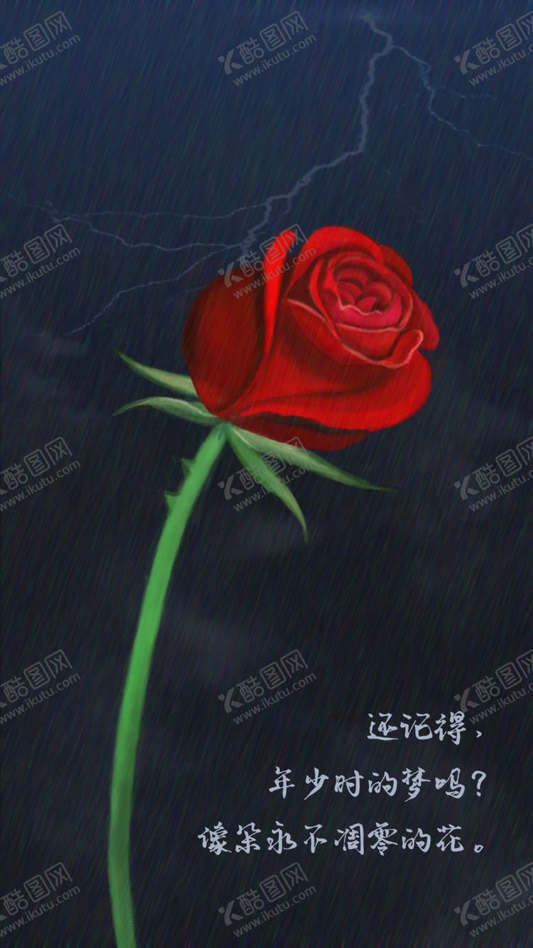 编号：27184605100616297932【酷图网】源文件下载-玫瑰花