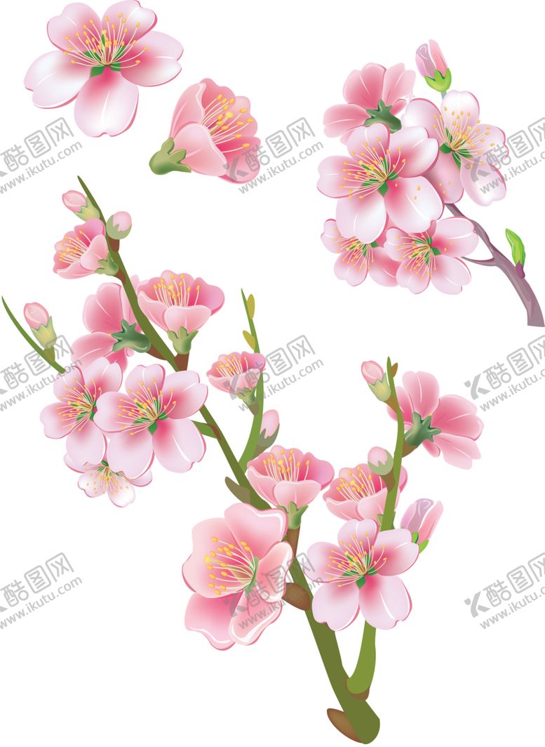 编号：21924706150034211029【酷图网】源文件下载-樱花