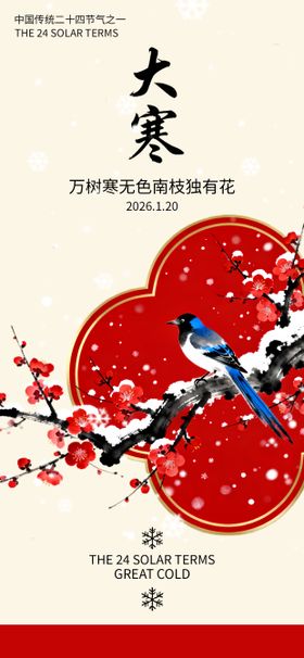 大寒节气灯笼国风唯美海报