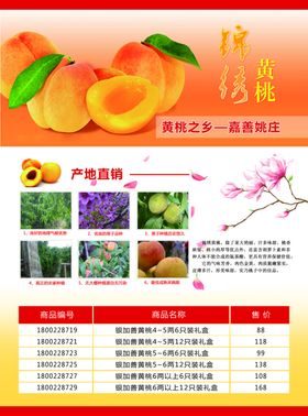 黄桃DM单页