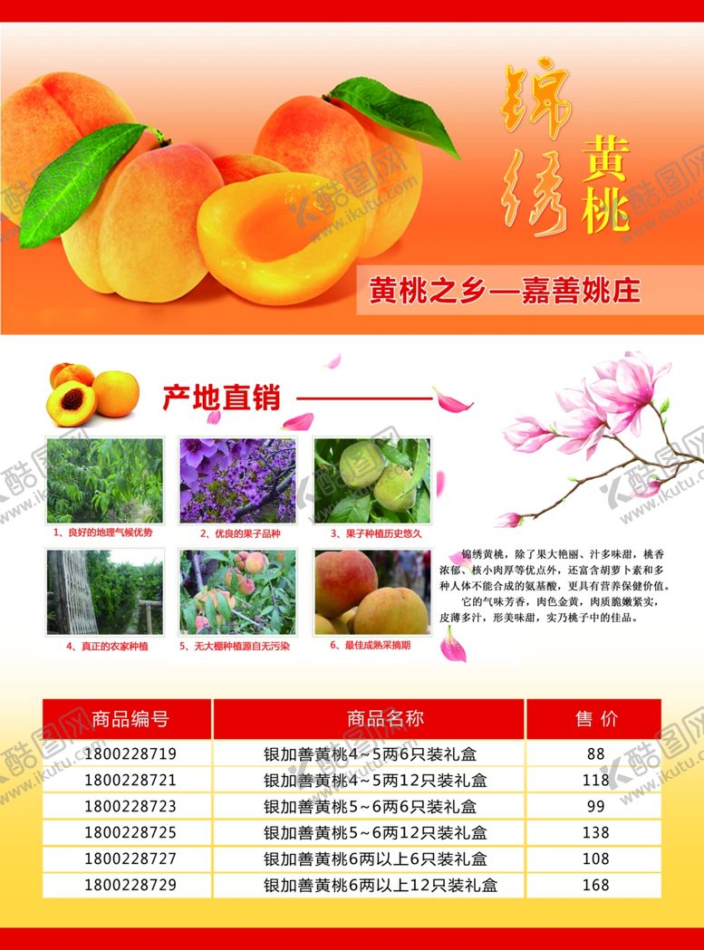 编号：32421506271156167644【酷图网】源文件下载-黄桃DM单页